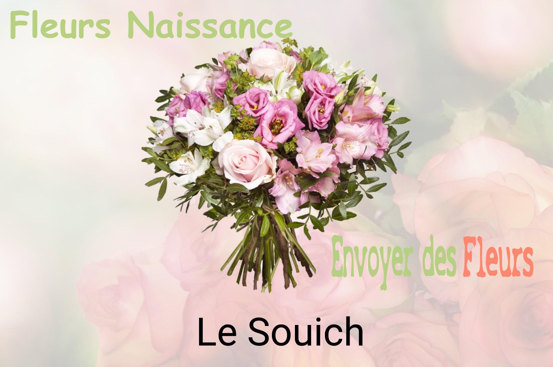 Bouquet de fleurs de naissance livré à Le Souich